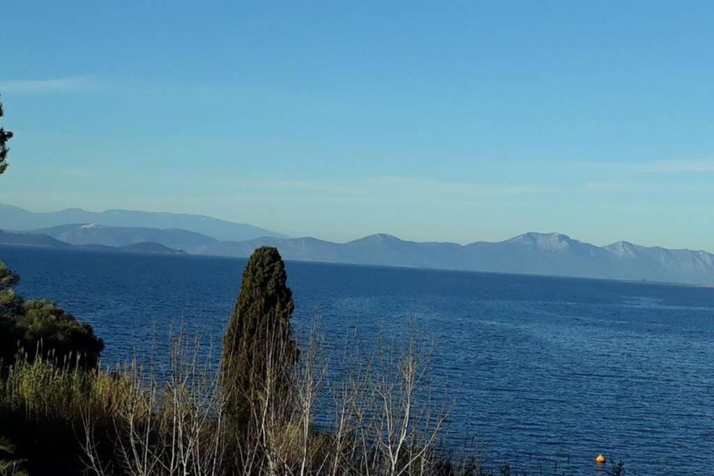 Amazing Sea View-Neos Pyrgos Beach -Evoia Greece Néos Pírgos Exterior foto