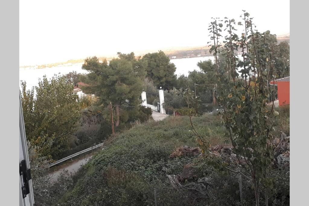Amazing Sea View-Neos Pyrgos Beach -Evoia Greece Néos Pírgos Exterior foto